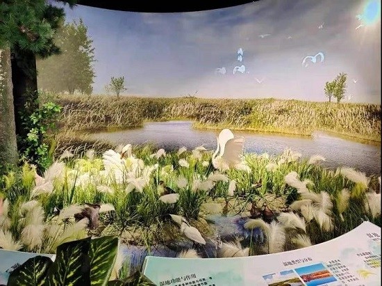 地球|大年初三 云游地博：河南省地质博物馆 发掘恐龙化石触摸地球历史