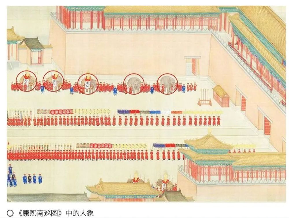 故宫|大内“咪”探？零零狗？故宫瑞兽竟然还有它！