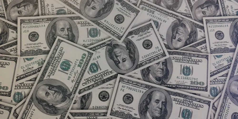 边牧排行_2016年CKU边境牧羊犬排行前10