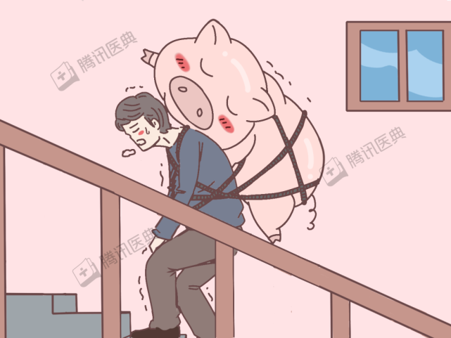 相当于扛了一头猪膝关节要承受180~240公斤重量也就是一个60公斤的人