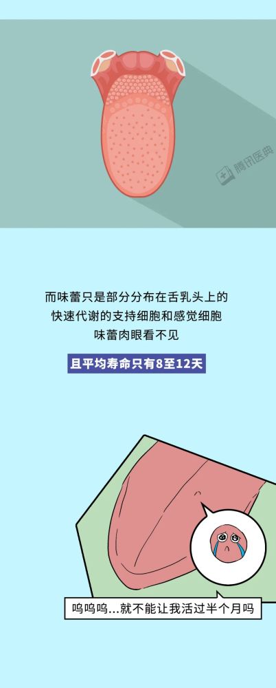 bart|又被骗了！想要咬舌自尽，比靠3000元工资实现财务自由还难！