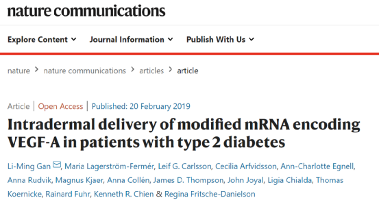 mrna|关于mRNA的一切：运转世界的分子