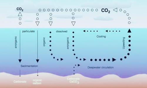 地球|2.3亿年前，地球爆发了一场持续100万年的降雨，可能在未来重现