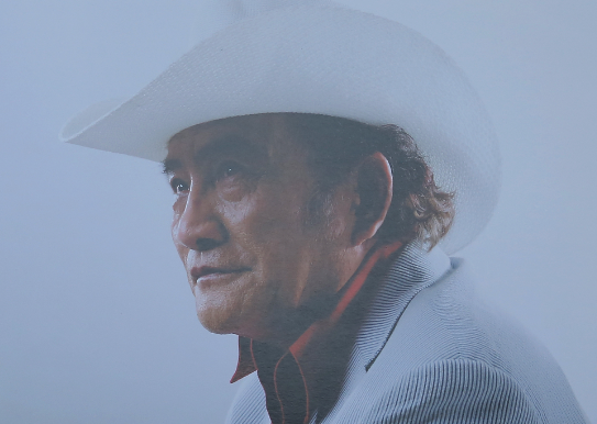 影帝杨在葆去世