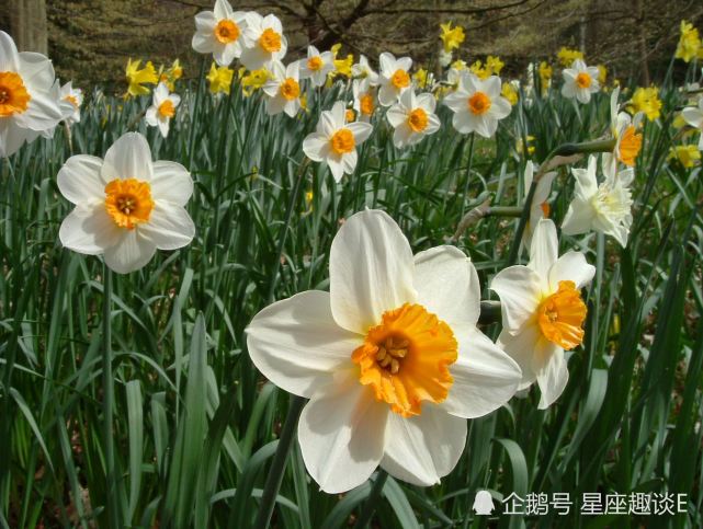 2月15日 21日星座运势 巨蟹实力大增 天蝎豁然开朗 射手认真负责 腾讯新闻