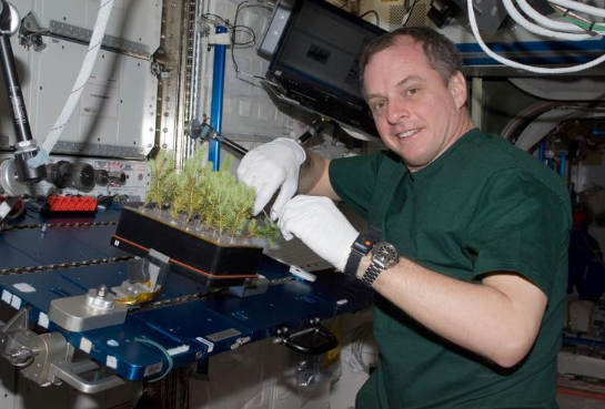 美国_时政|拒绝美国加入，中国科学家已经说得很明白了：他的技术真的不行