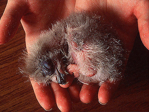 电脑|25张世界超稀有照片