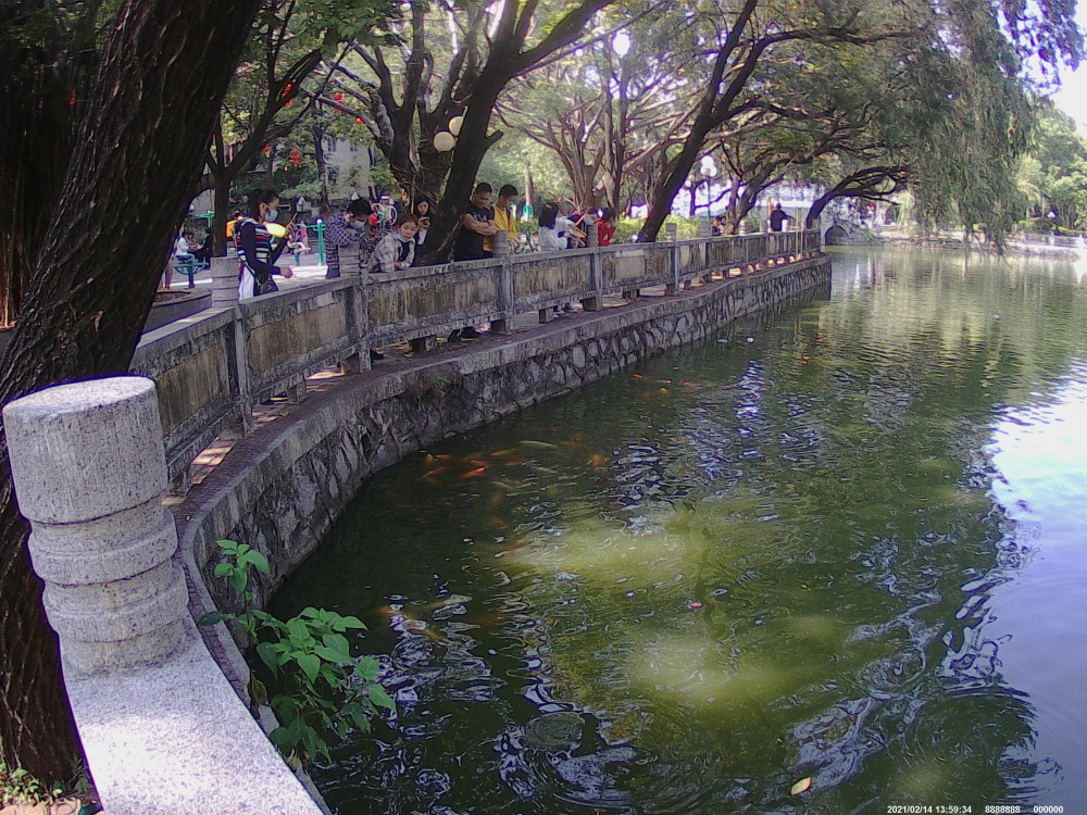 番禺的星海公園是個美麗的公園.