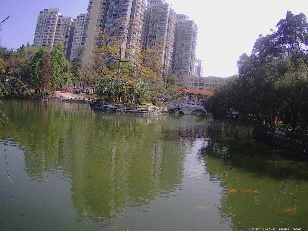 番禺的星海公園是個美麗的公園.