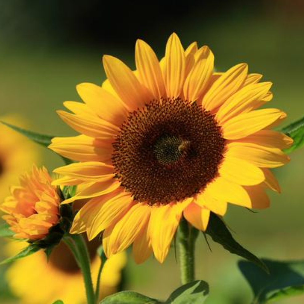 放下不必要的执念 以平和的心态对待人生 会幸福很多 深度好文 腾讯新闻