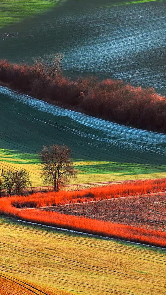 动物世界|我们的世界01