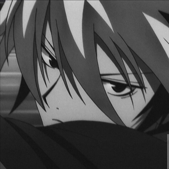 动漫男头高冷野王男头