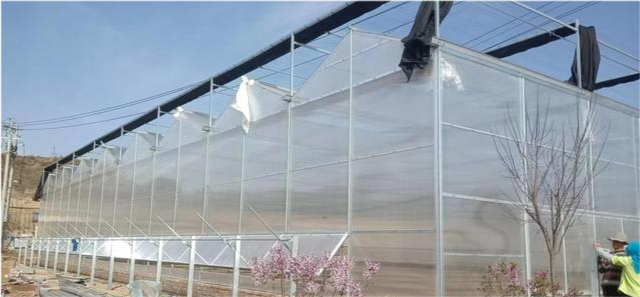 阳光板连栋温室