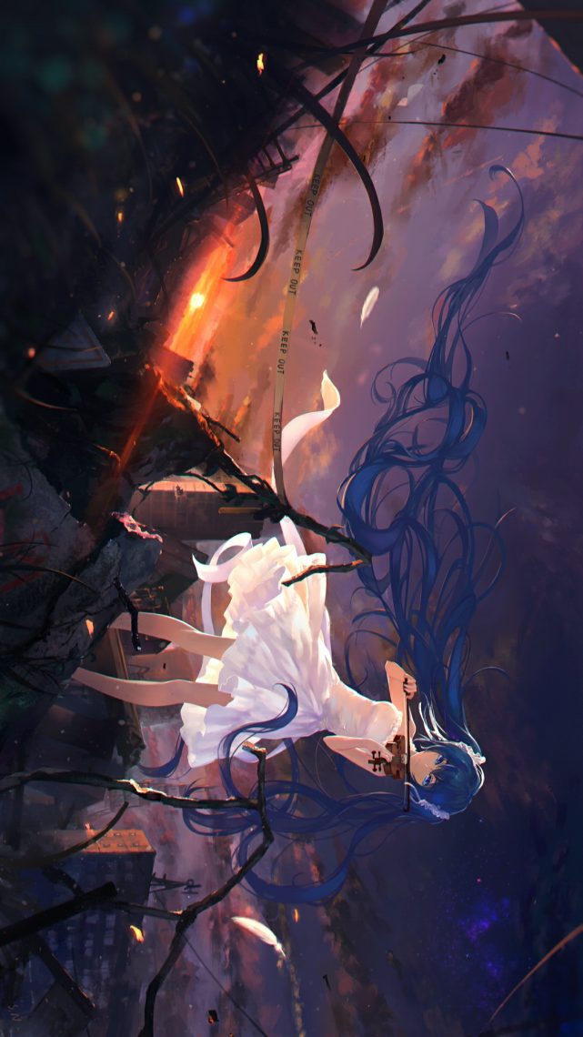 壁纸·二次元·初音&星空