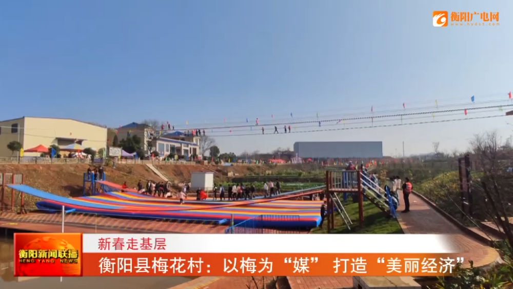 新春走基层衡阳县梅花村以梅为媒打造美丽经济