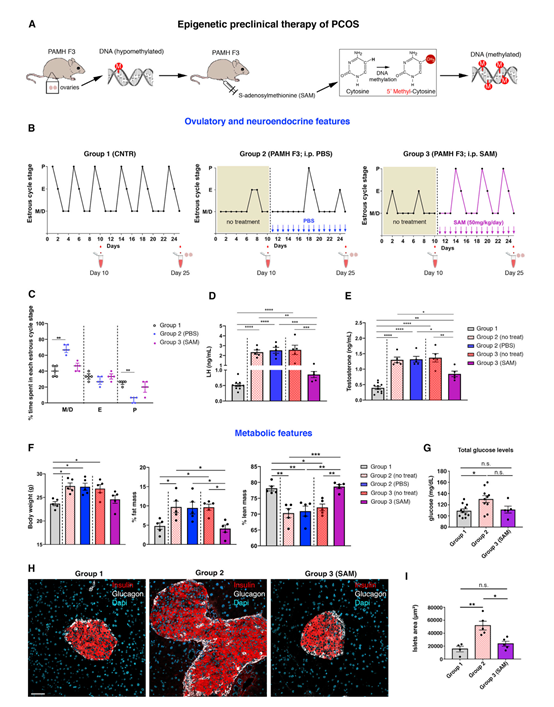 有希望!cell子刊:科学家揭示多囊卵巢综合征传播基础_腾讯新闻