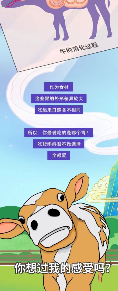 牛肚|你点的是这个牛肚，还是那个牛肚？