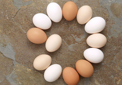 糖尿病|糖尿病吃鸡蛋能降血糖吗？除了吃降糖药，还有什么降糖方法？