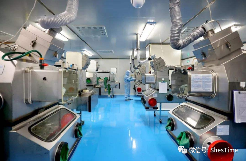 杨振宁|杨振宁的最后一战，宁愿得罪中科院，也要反对中国科技“大跃进”