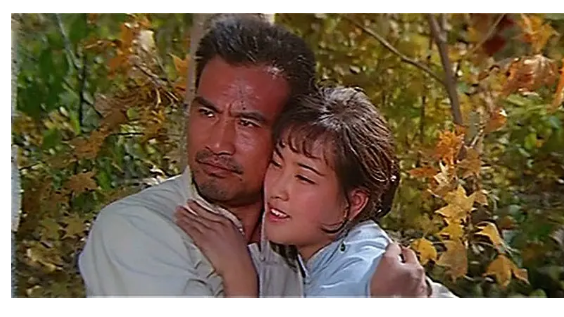 纪念杨在葆经典兵痞曾顶替祝延平被误认成耿乐父亲