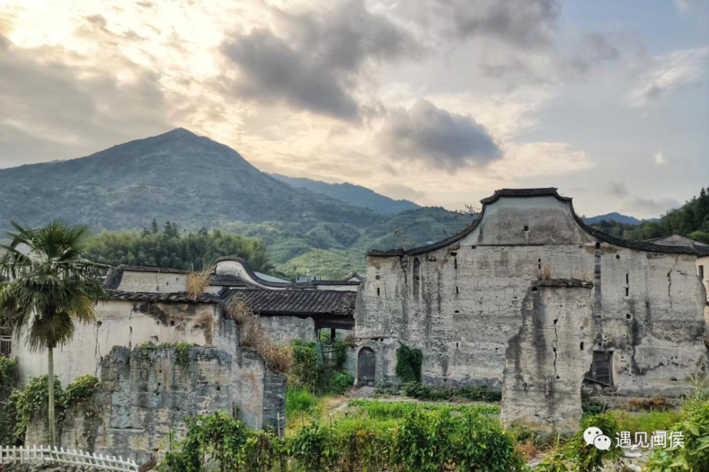 乡内还有不少古厝,古居,古庙,以及百年银杏