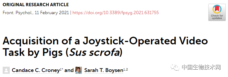 操纵杆|“笨的像猪一样”……猪：这“笨”锅我不背！