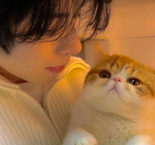 可爱的男生头像