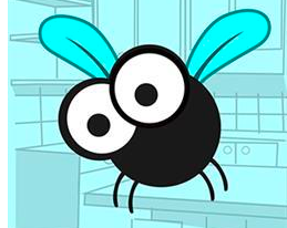 苍蝇在地球上到底有什么用如果被人为灭绝会有什么严重后果吗