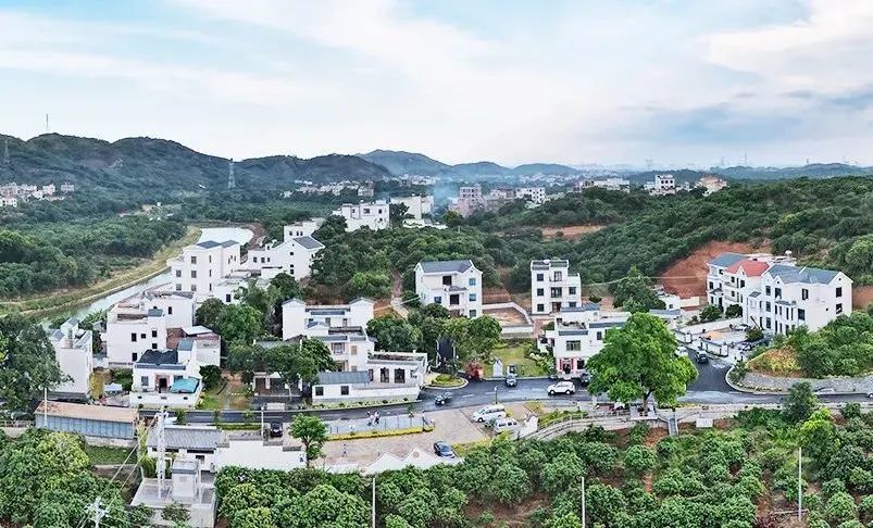 全省网红村——高州元坝村究竟有多美?_腾讯新闻