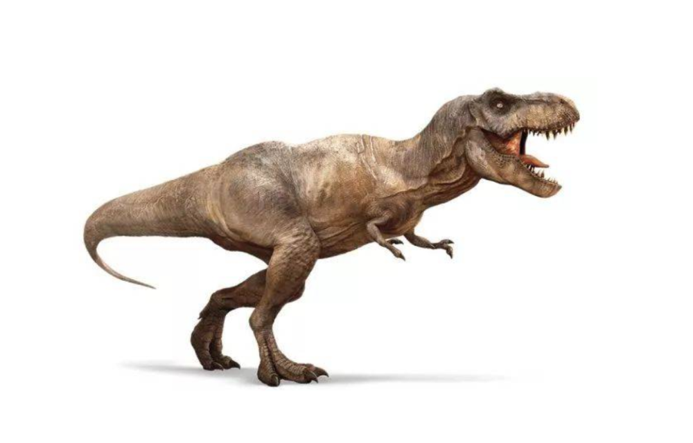 霸王龙|如果地球上突然出现了5000万只霸王龙，人类将遭遇什么？