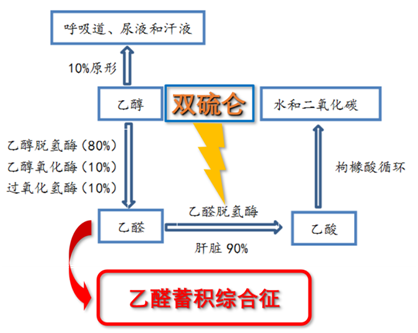 双硫仑样反应机理图片