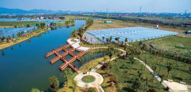 清代书法家张琴也是冉冉升起的空铁新城它是闻名中外的草席之乡又名"