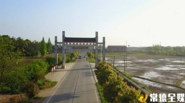 新春走基层常德鼎城草坪镇里草根乐