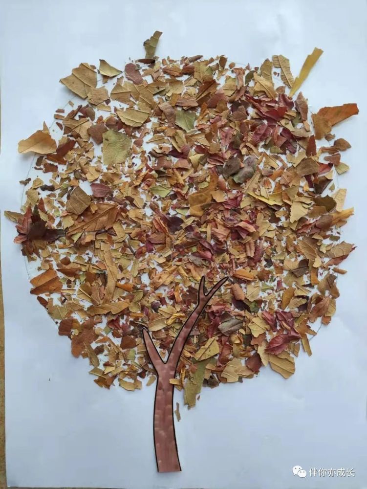 (树)因为枯叶也不可能再枯了,所以枯叶画可以保留,用蓝丁胶贴墙上