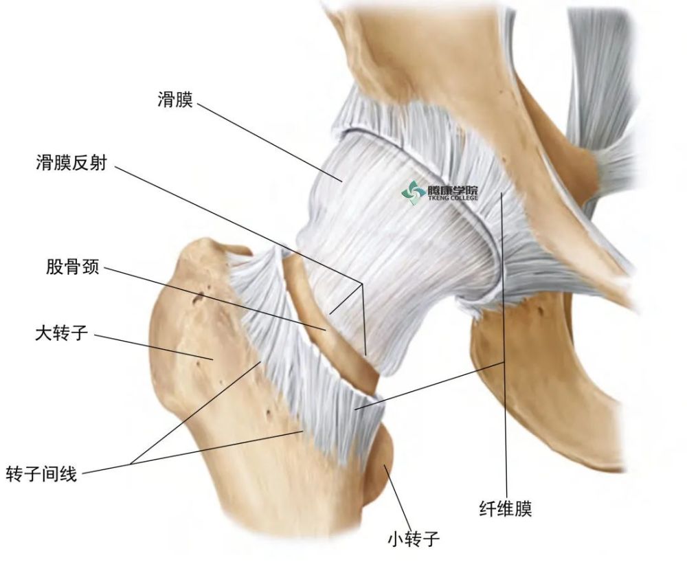 类风湿关节炎|类风湿关节炎伴淋巴水肿