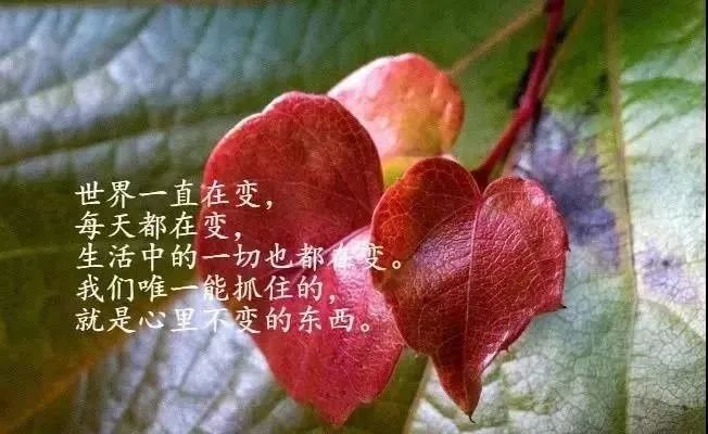 励志感悟15句哲理简短感悟句子感悟人生的经典短语