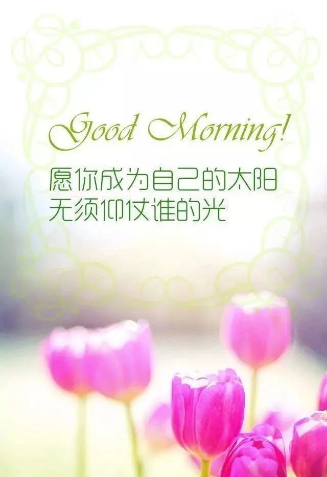 生活感悟的句子 形容生活感悟的句子