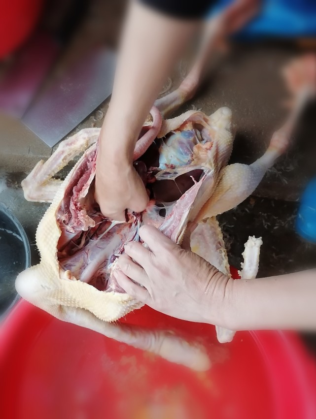 公公冒雨宰鹅,用老一辈的传统家风影响着下一辈的作风