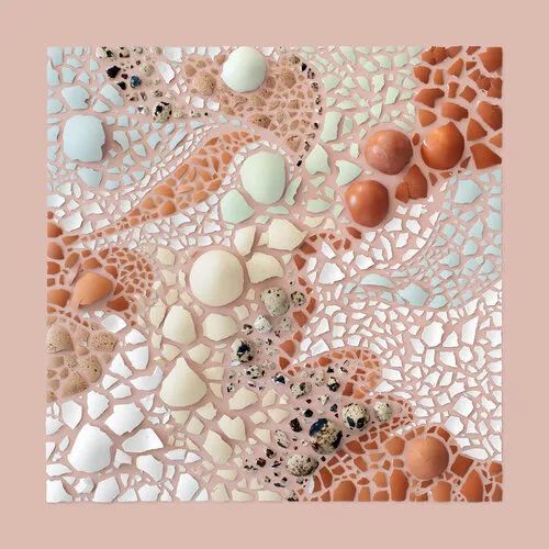 靠整理垃圾,她成为艺术家,排列规整的图案,让人看了心情舒畅