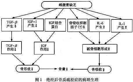 体重|50岁以后女性，胖点好还是瘦点好？看你的体重达标吗