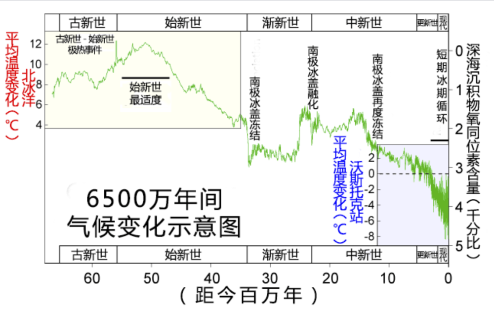 大熊猫|以前四川遍地老虎，为何没有吃掉熊猫，打不过吗？熊猫：咱会卖萌