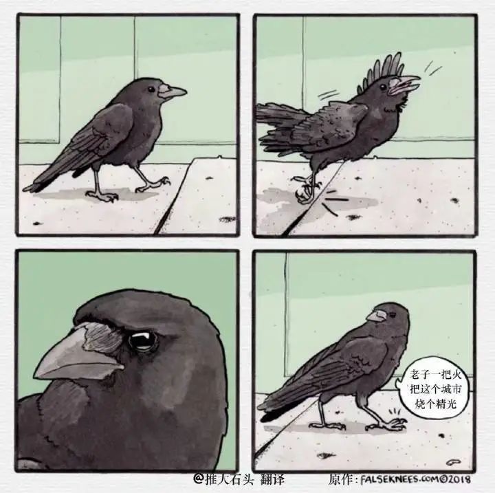 暴躁小动物四格漫画