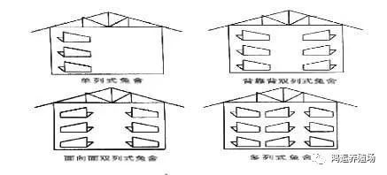 兔舍|养兔场兔舍建设图