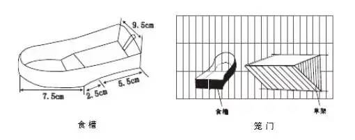 兔舍|养兔场兔舍建设图