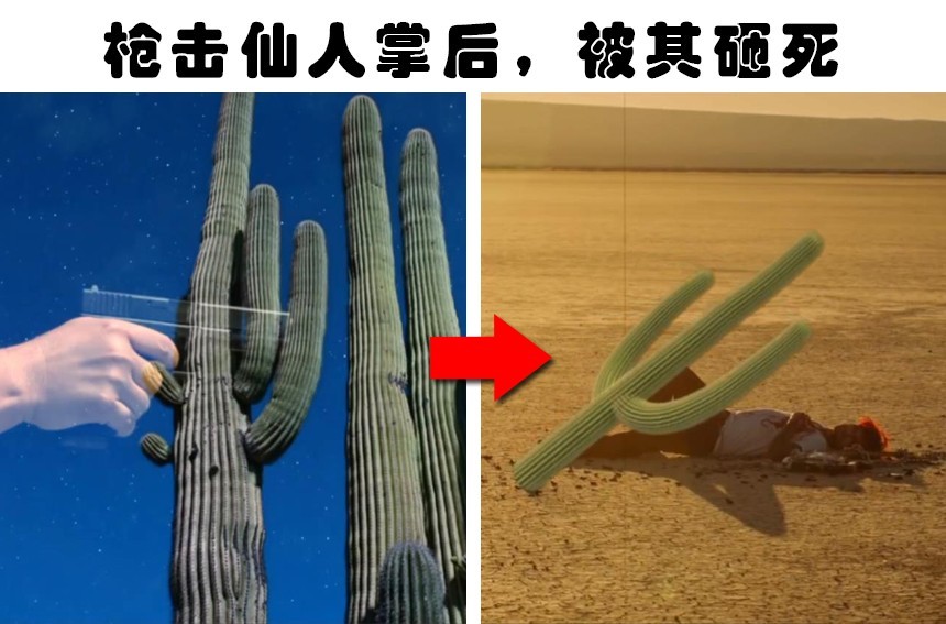 罗伯特·威廉姆斯|因为某些非常愚蠢的事情而失去了宝贵生命的6个人