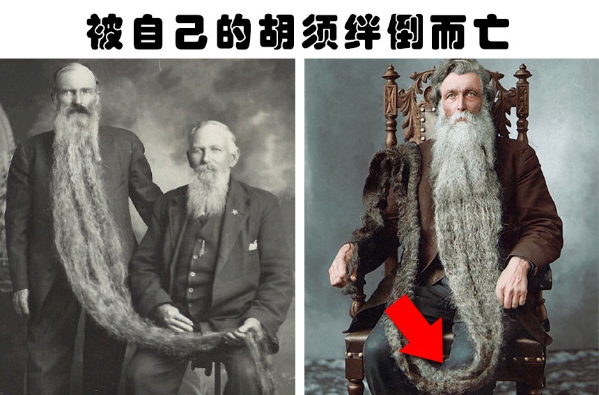 罗伯特·威廉姆斯|因为某些非常愚蠢的事情而失去了宝贵生命的6个人