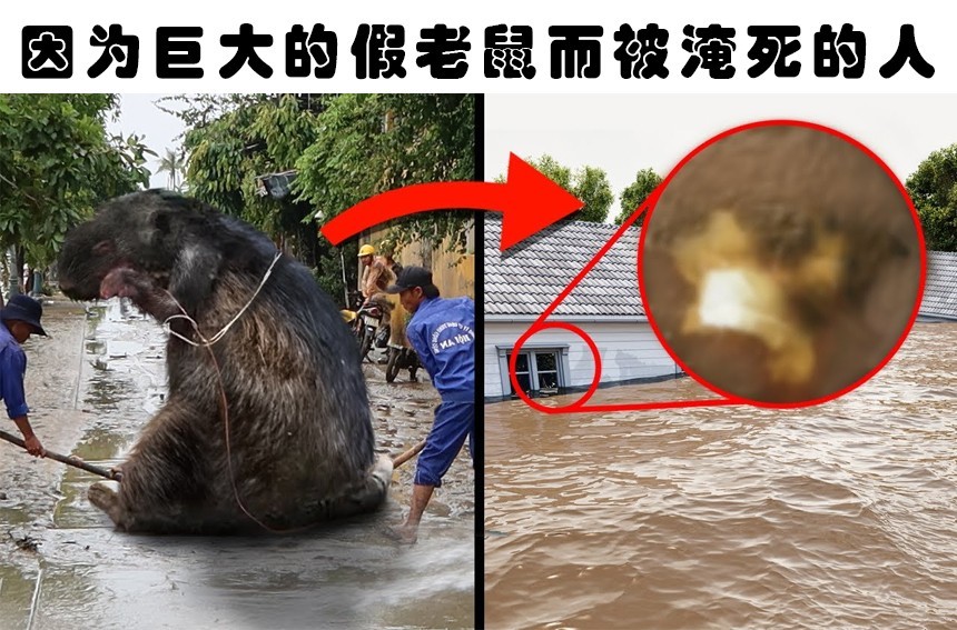 罗伯特·威廉姆斯|因为某些非常愚蠢的事情而失去了宝贵生命的6个人