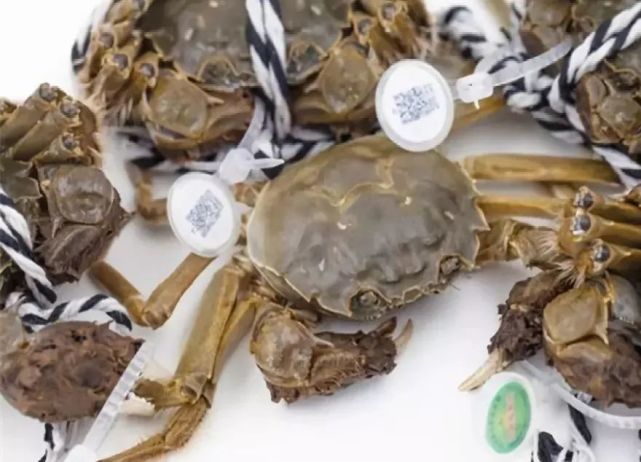 媒体中心  陈喜 查敏 武娟 / 滁州文化和旅游局编辑:王伟  邱红艳责编