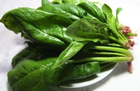 视力|担心自己视力不好，不妨试试多吃这些食物，好处多多！