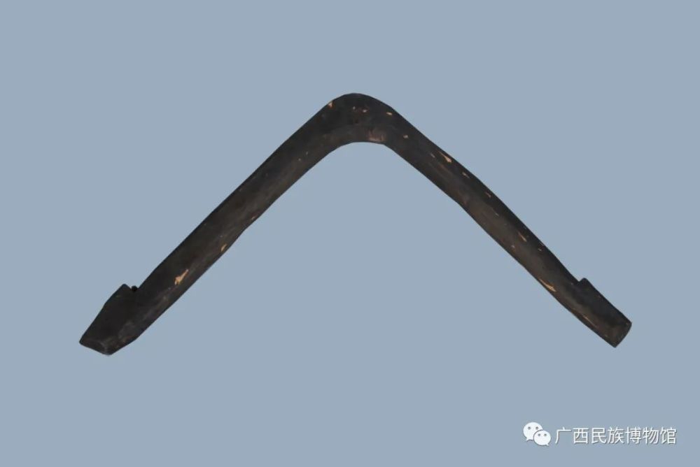 博物识珍|牛年话牛(上)_腾讯新闻